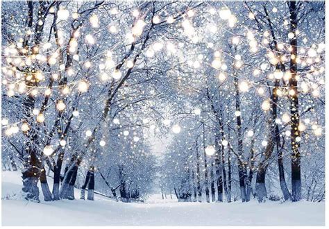 Winter Scene Backdrop Wonderland Snowflake Photography Etsy