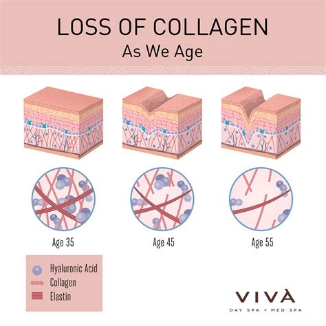 Collagen Boosting Treatments And Products Viva Day Spa Med Spa