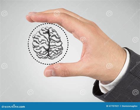Hand Holding Brain Stock Image Image Of Clever Head 47707021