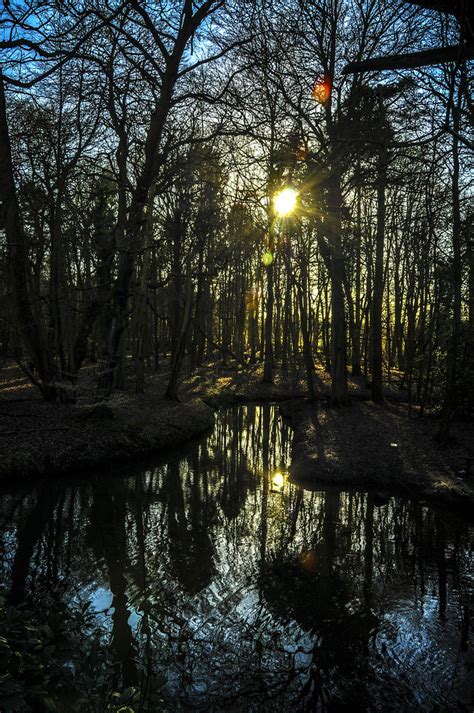 Coombe Abbey Woods John Aston Flickr