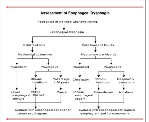 Suggested Algorithm For The Assessment Of Esophageal Dysphagia Adapted