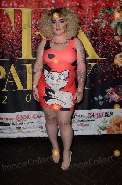 photos and pictures michelle austin at the 2017 official transgender erotica awards tea pre