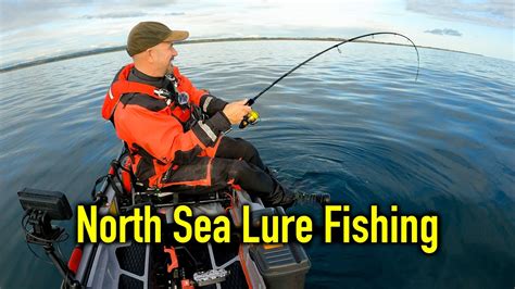 Great Lure Session Catching Cod Pollack Wrasse And Pout Kayak Sea