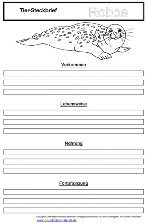 Höhlenbär steckbrief tiersteckbriefe lesen steckbriefe tiere. Vorlage Tiersteckbrief: Robbe - Medienwerkstatt-Wissen ...
