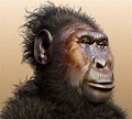 El profesor Bigotini: PARANTHROPUS ROBUSTUS, UN CALLEJÓN SIN SALIDA