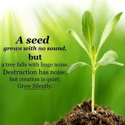 a seed grows with no sound but a tree falls with huge best english quotes garden quotes