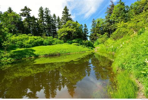 Summer Wallpapernatural Landscapenaturereflectionnature Reserve