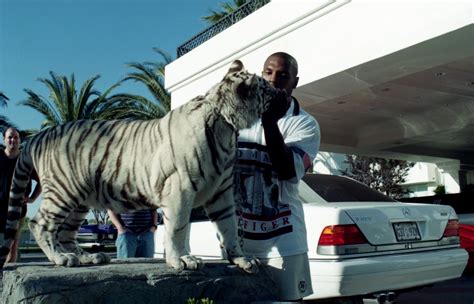 Mike Tyson Reveals He Paid 50000 For Each Of His Famous Pet Tigers