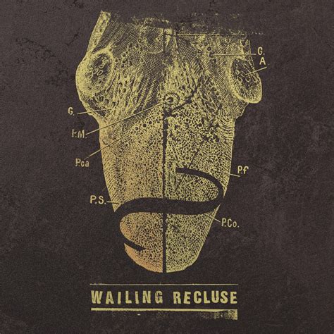 ‎wailing Recluse By Wailing Recluse On Apple Music