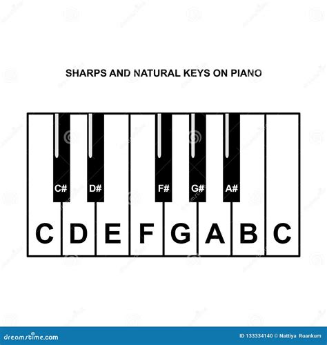 Piano Notes Chart Full