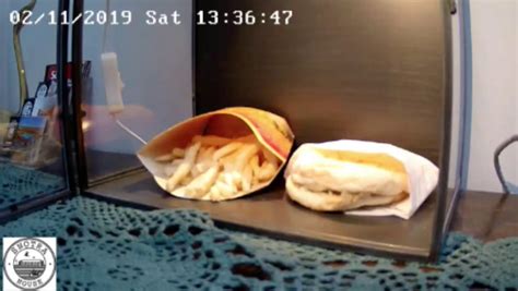 Icelands Last Mcdonalds Cheeseburger Perfectly Preserved 13 Years