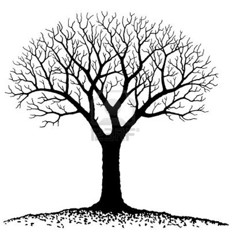 Tree Of Life Clipart Free Lds 20 Free Cliparts Download Images On