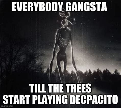 Everybody Gangsta Imgflip