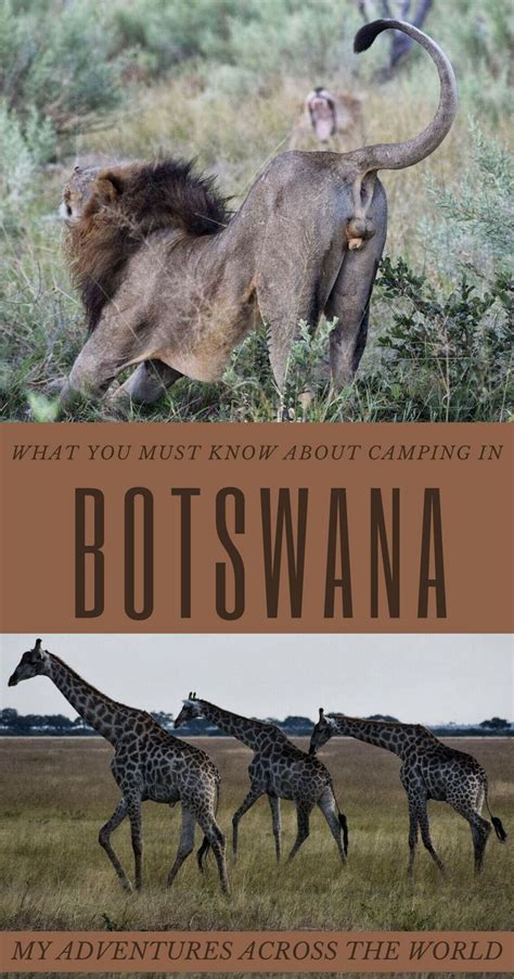 The Best Way To Travel Across Botswana Africa Is By Overlanding Its