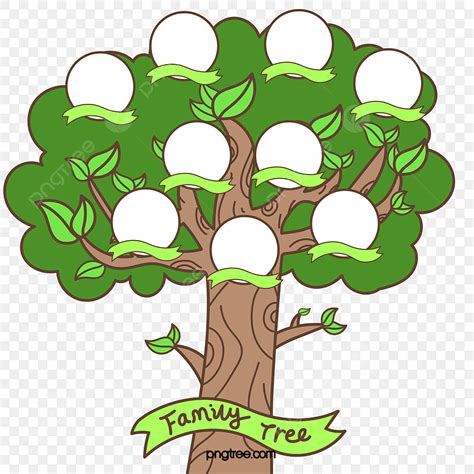 Vector Dibujado A Mano árbol Genealógico árbol Genealógico Png Dibujos