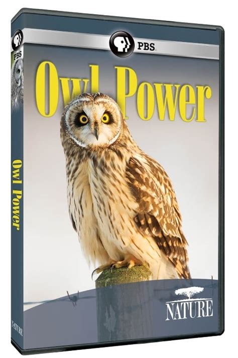 Owl Power 2015 The Poster Database Tpdb