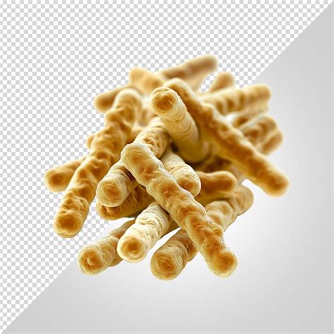 Premium Psd Lactobacillus Isolated