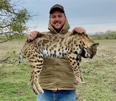 Big Beautiful South Texas Bobcat Hunting