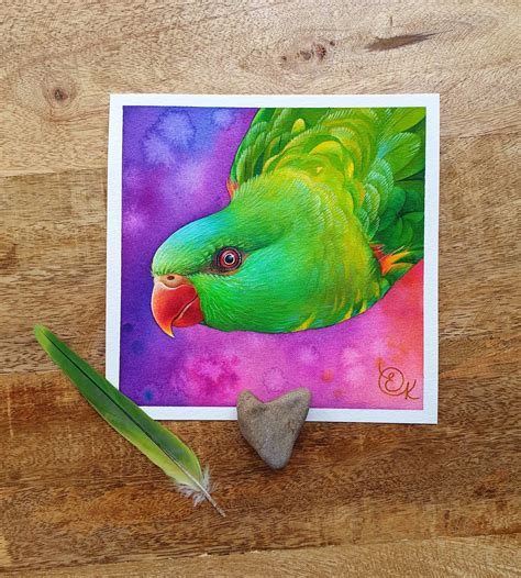 Scaly Breasted Lorikeet Painting Original Green Parrot Etsy