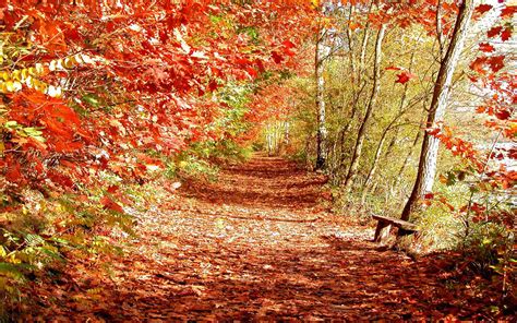 Wallpapers Beautiful Autumn Scenery Wallpapers