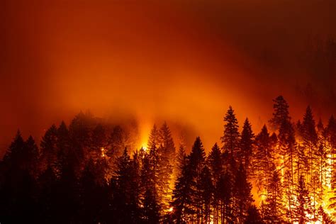 States State Of Emergencies For Wildfires Topmark Funding
