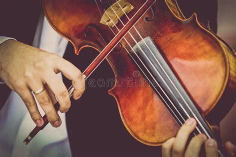 Playing Viola Stock Image Image Of Artistic Classical 31788583
