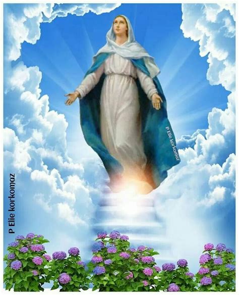 An Image Of The Immaculate Mary On Stairs With Clouds And Flowers In