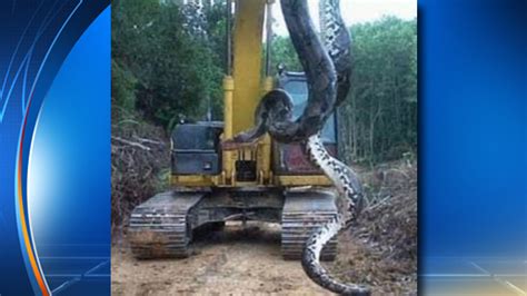 30 Foot Snake Discovered At Construction Site