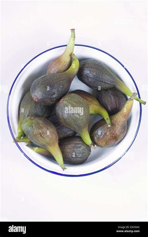 Ficus Carica Freshly Harvested Figs In An Enamel Dish Stock Photo Alamy