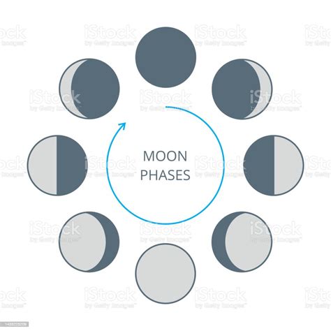 Moon Phases Icons Stock Illustration Download Image Now Astronomy