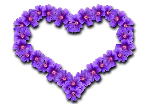 Heart Flowers Love Free Image On Pixabay