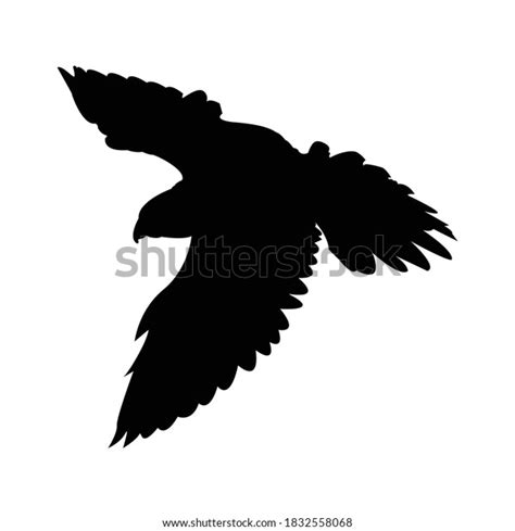 Flying Falcon Silhouette Animal Vector Illustration Stock Vector
