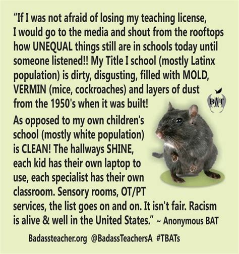 Pin On Bat Teacher Memes