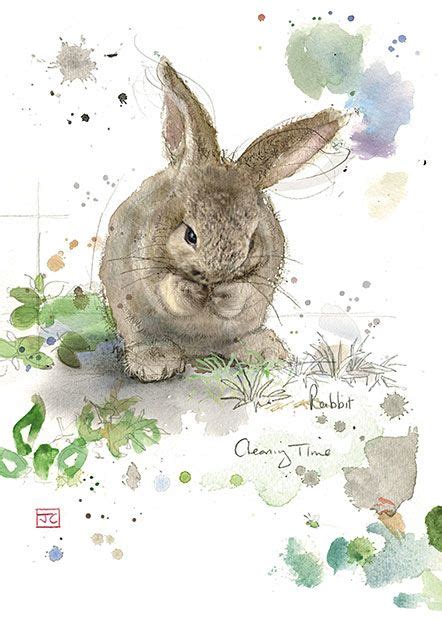 Cleaning Rabbit By Jane Crowther Design For Bug Art Greeting Cards