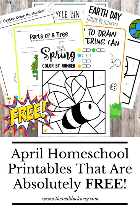 Worksheet Bundle Packs Homeschool Science Club Worksheets Library