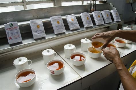 Top 5 Secrets Of Tea Tasting