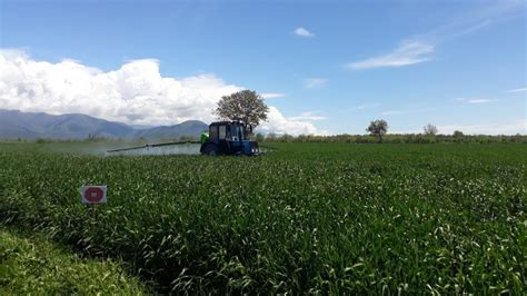 Azerbaijans E Agriculture System To Provide Farmers With Necessary