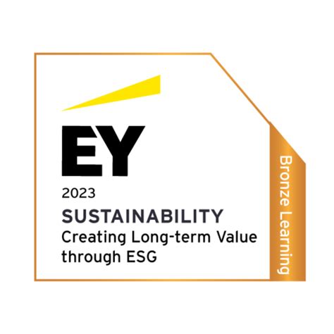 Ey Sustainability Creating Long Term Value Through Esg Bronze