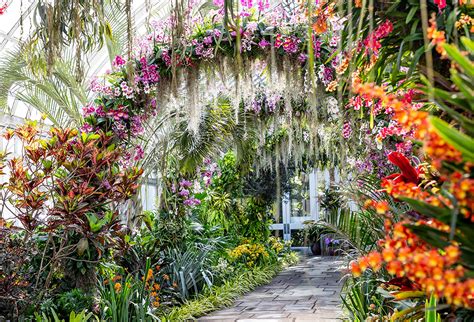 Последние твиты от china garden houston (@cgrhouston). New York Botanical Garden - The Orchid Show: Singapore ...
