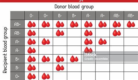 Chart Of Blood Types In Drops Medical And Healthcare Infographic Stock