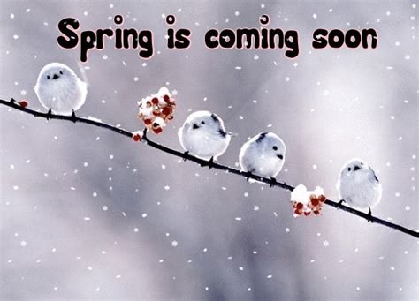 Spring Is Coming Picture Quotes For Facebook Quotesgram