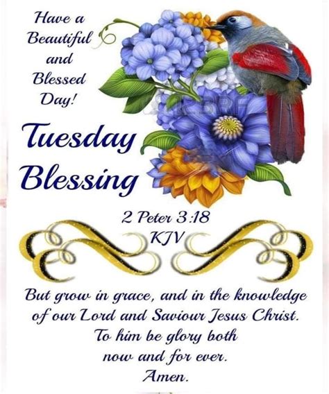 Grow In Grace Tuesday Blessing Quotes Tuesday Tuesday Quotes Tuesday