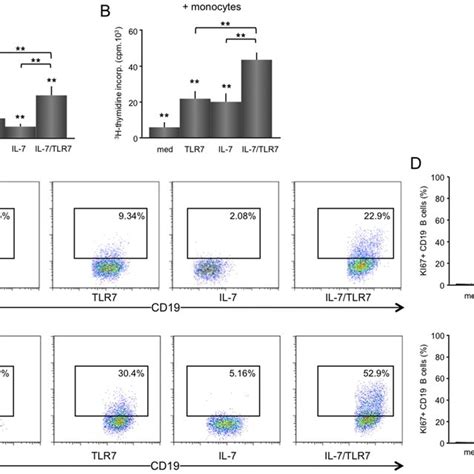 Il And Tlr Synergistically Increases Cd T Cell Proliferation In T