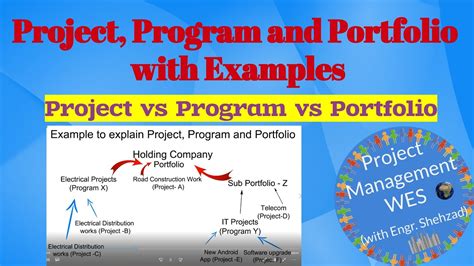 Project, Program and Portfolio with Examples, Project vs Program vs Portfolio, Project ...