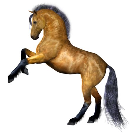 Caballo Png