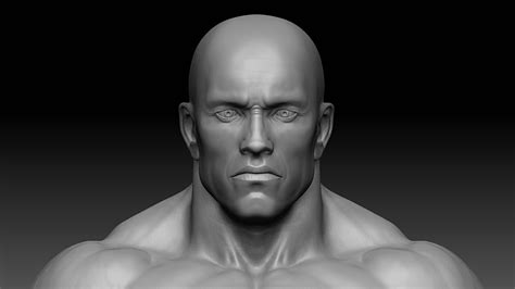 3d Model Muscular Male Body