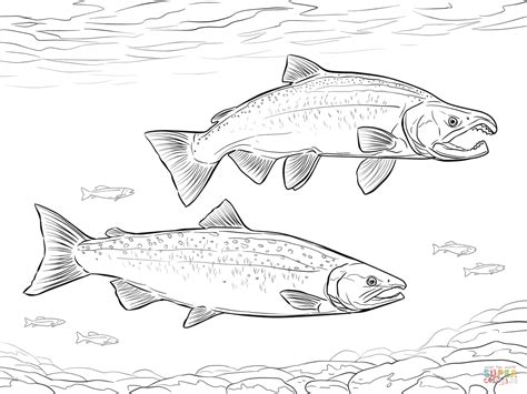Download Pacific salmon coloring pages download and print for free
