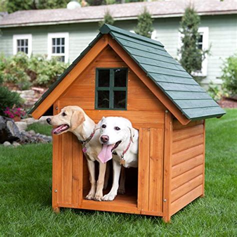 10 Dog Houses That Will Make Humans And Dogs Drool With Envy