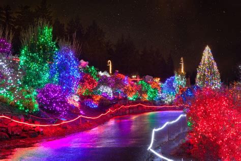 Rainbow Colored Led Christmas Lights Creative Displays