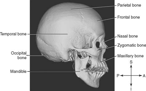 The Head Basicmedical Key